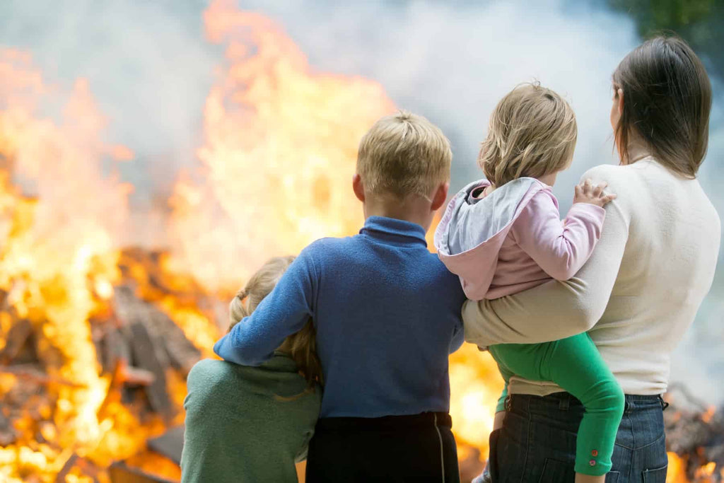 Furry Friends Included: Comprehensive Fire Safety for the Family - The Sign Shed