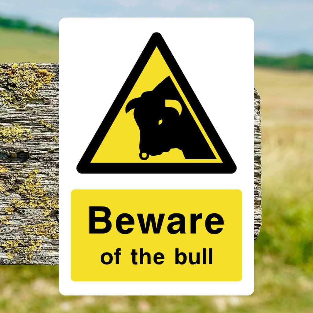 Beware Of The Bull Sign - The Sign Shed