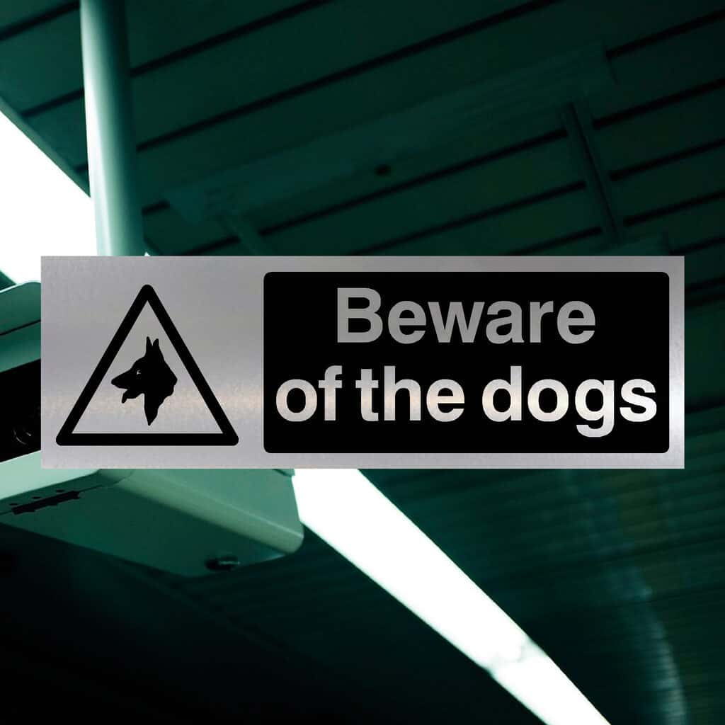 Beware Of The Dogs Brushed Silver Sign - The Sign Shed