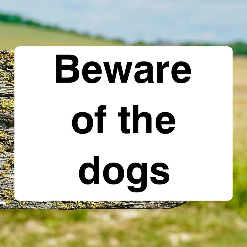 Beware Of The Dogs Sign - The Sign Shed