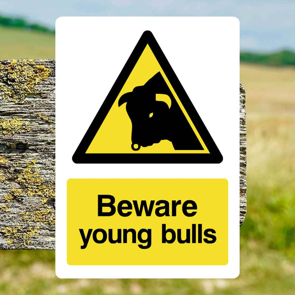 Beware Young Bulls Sign - The Sign Shed