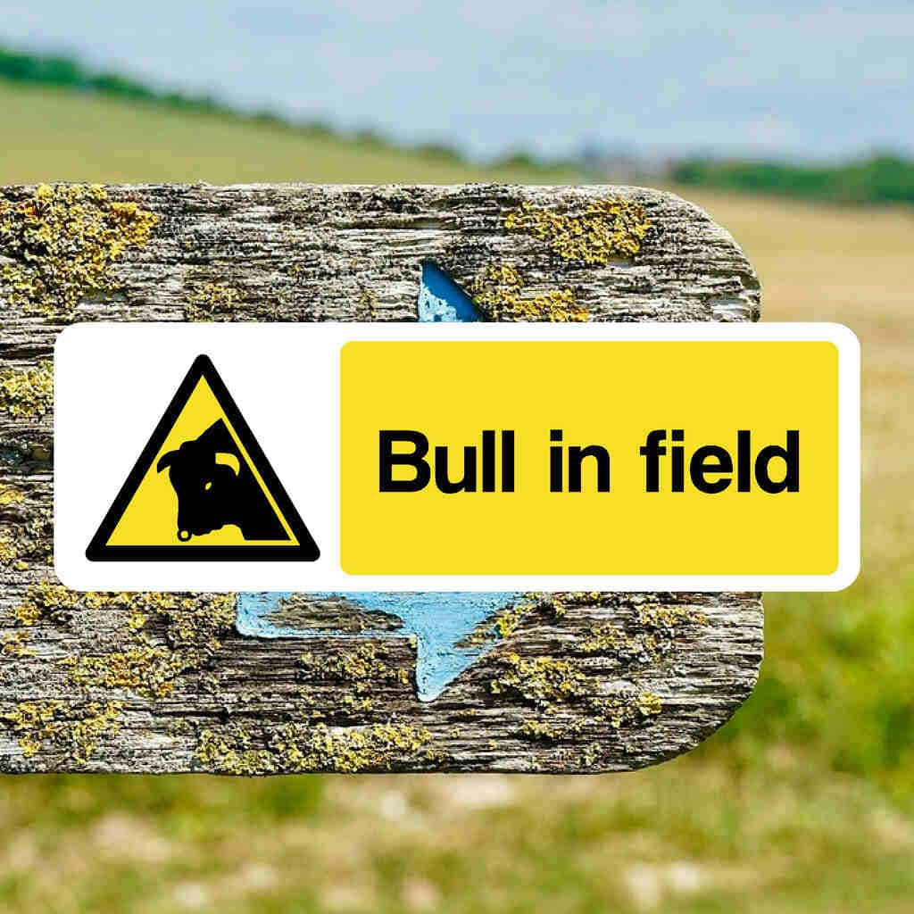 Bull In Field Warning Sign - The Sign Shed