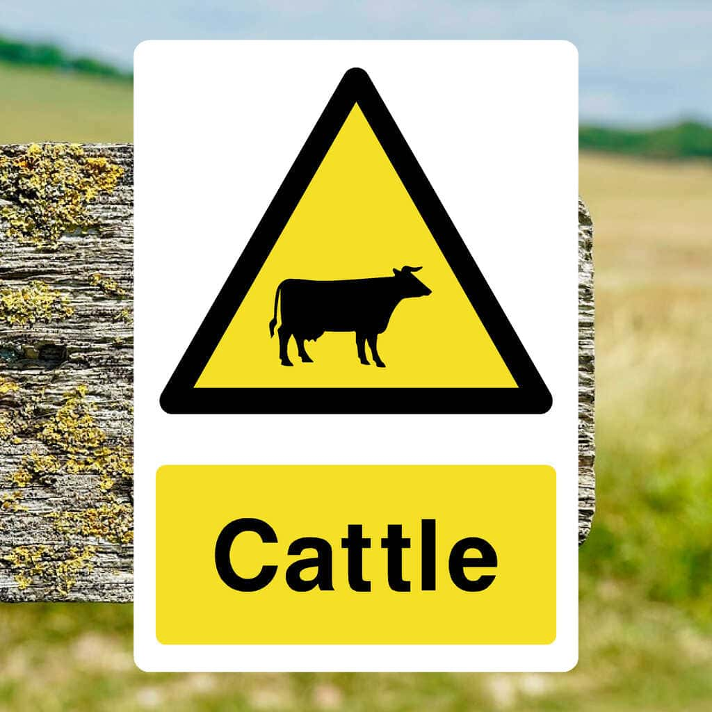 Cattle Sign - The Sign Shed