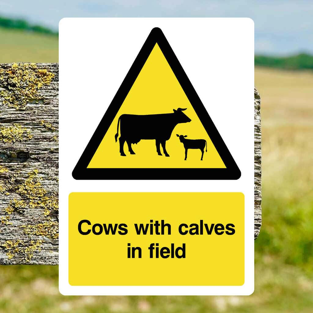 Cows with Calves in Field Warning Sign - The Sign Shed