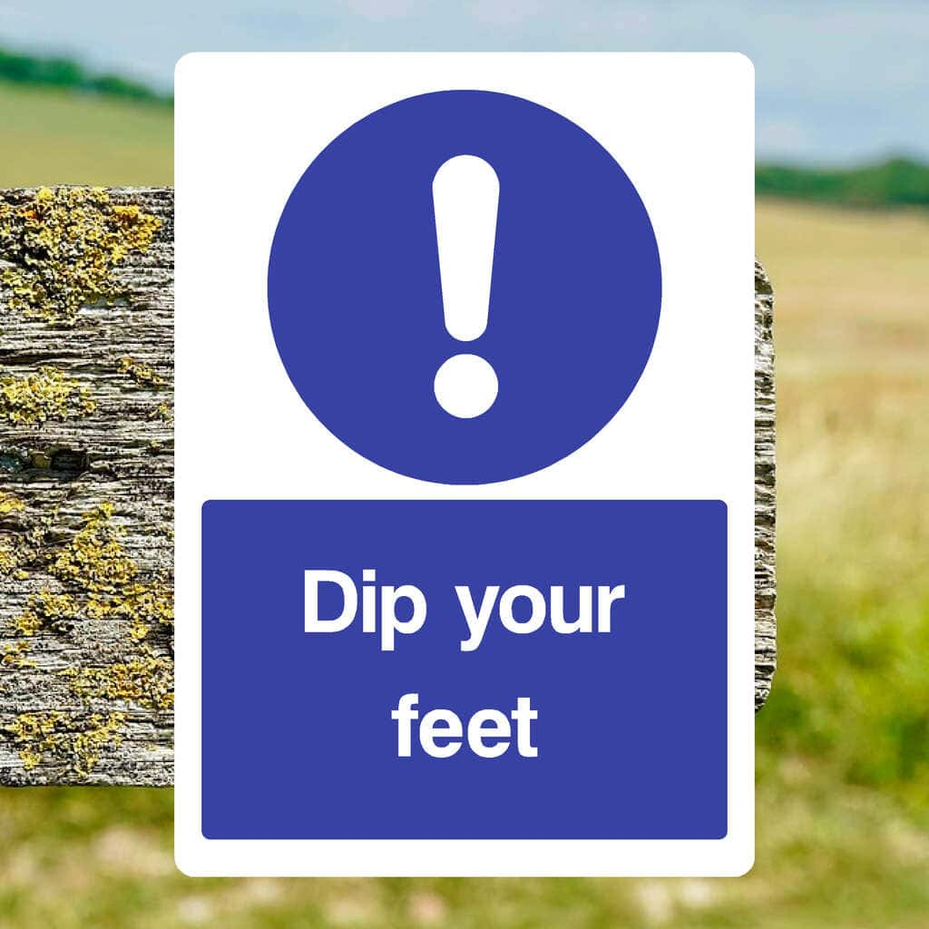 Dip Your Feet Sign - The Sign Shed