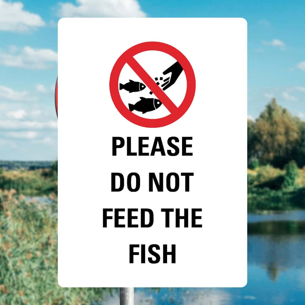 Do Not Feed The Fish Sign - The Sign Shed