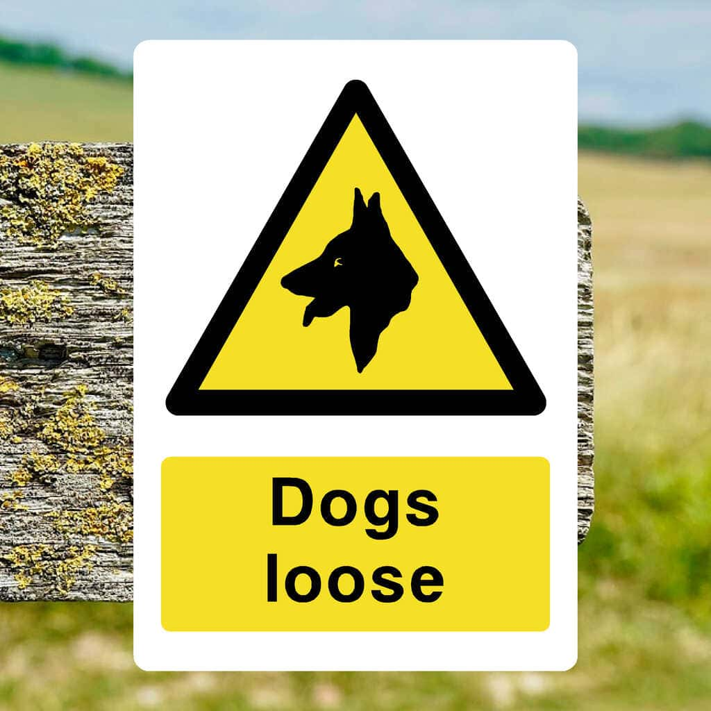 Dogs Loose Sign - The Sign Shed