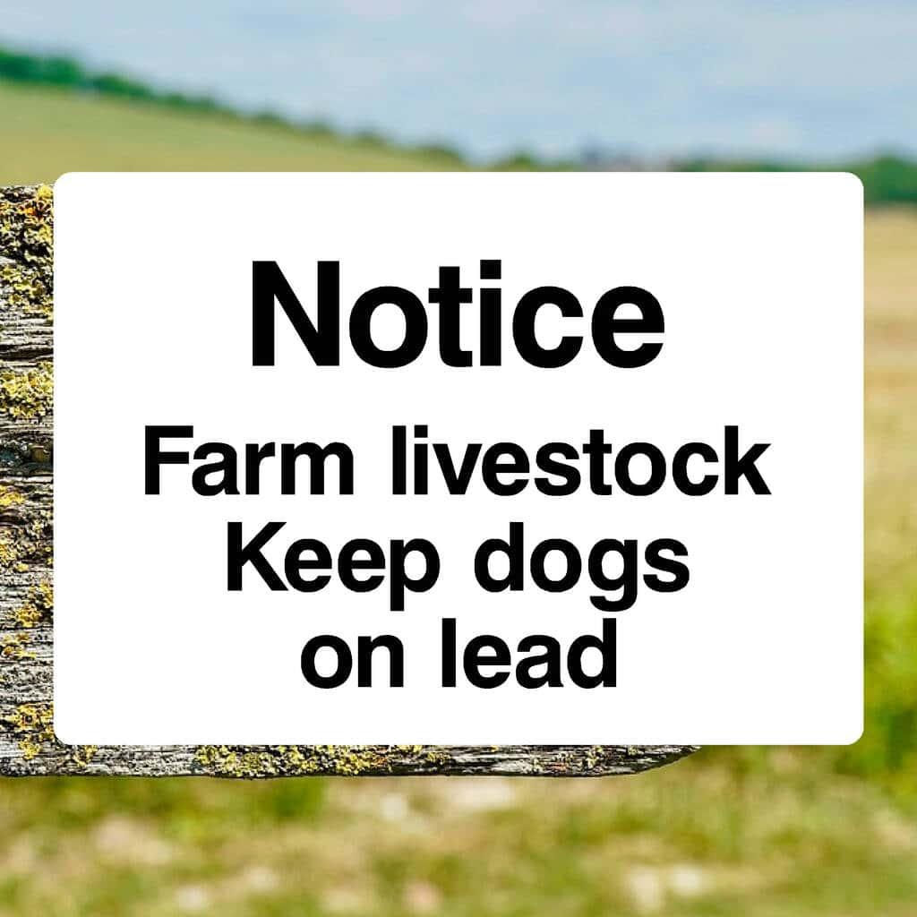 Farm Livestock Keep Dogs On Lead Sign - The Sign Shed