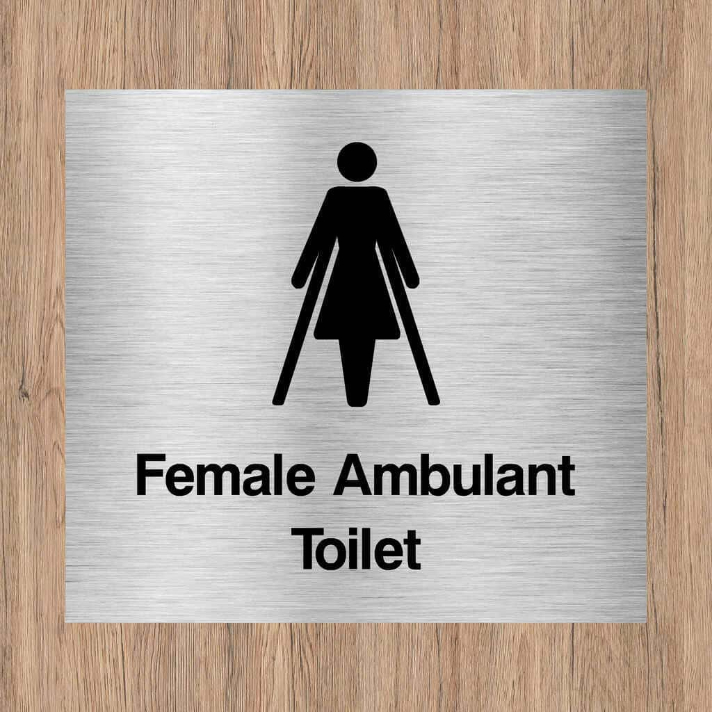 Female Ambulant Toilet Sign Brushed Silver - The Sign Shed