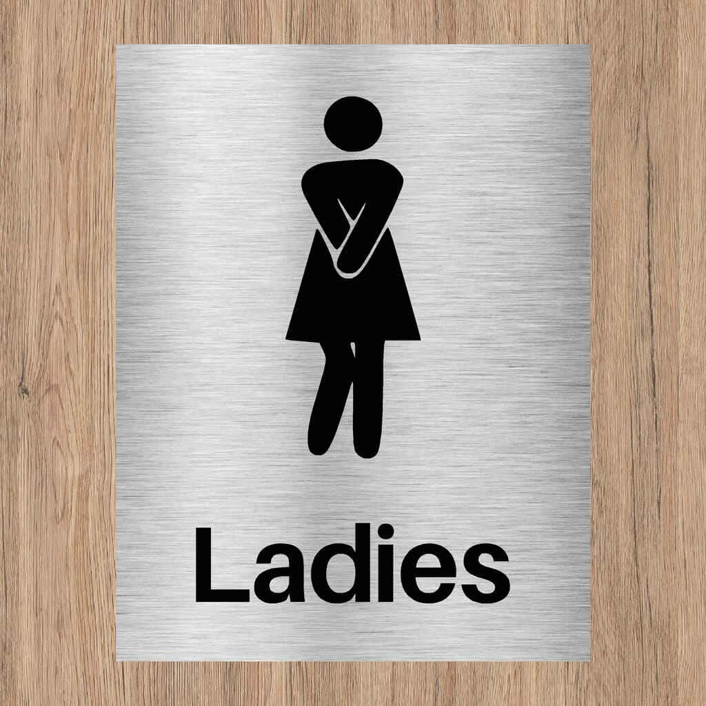 Ladies Toilet Comic Sign Brushed Silver - The Sign Shed