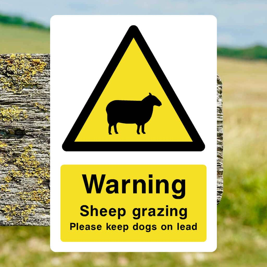 Sheep Grazing Sign - The Sign Shed