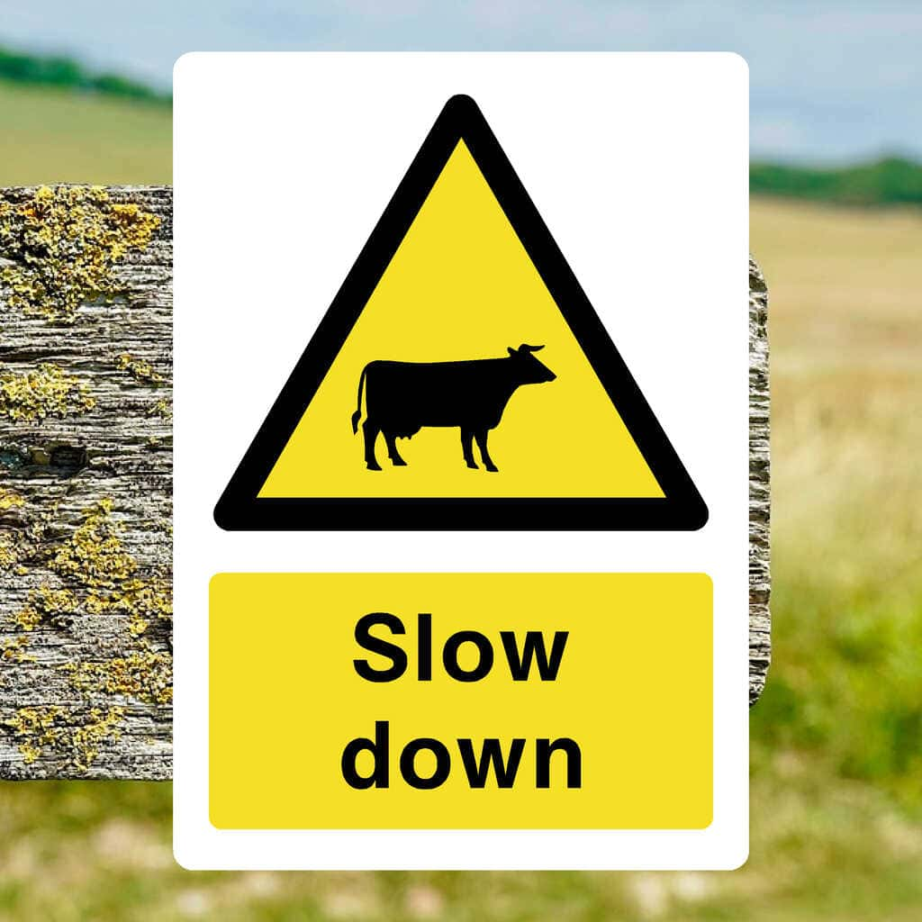 Slow Down Cattle Sign - The Sign Shed