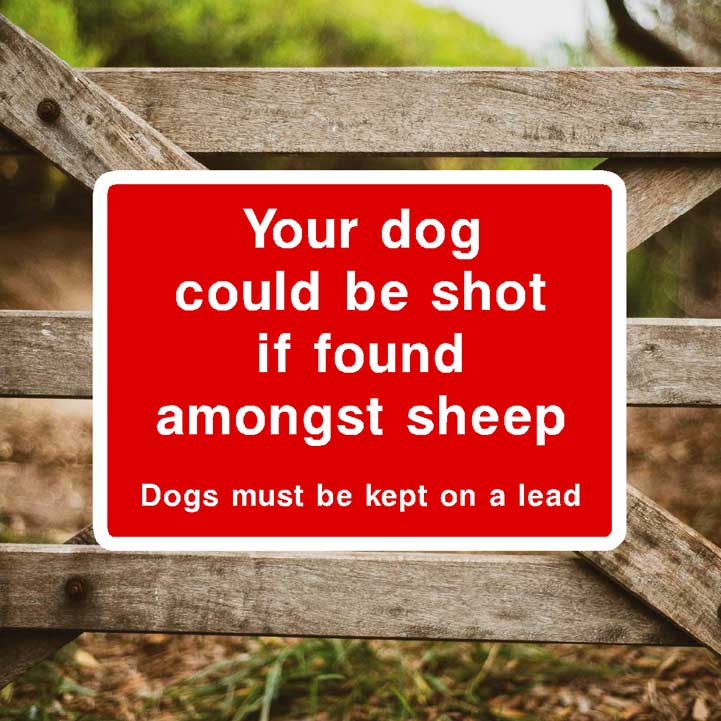 Your Dog Could Be Shot Sign - The Sign Shed